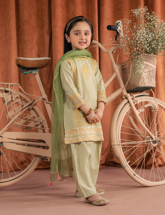 2 PIECE ETHNIC EMBROIDERED SUIT