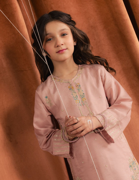 2 PIECE ETHNIC EMBROIDERED SUIT