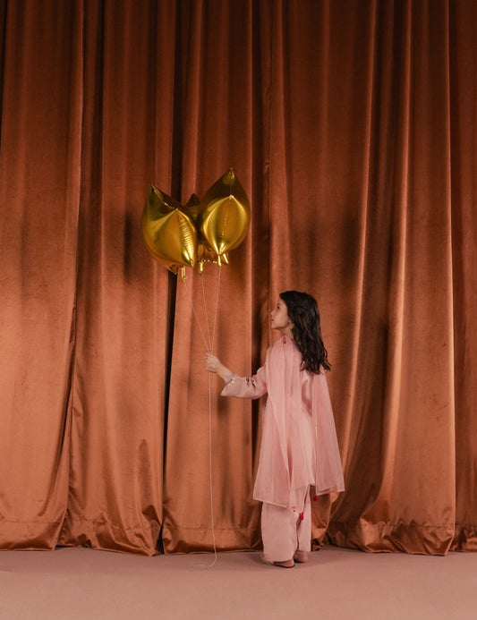 2 PIECE ETHNIC EMBROIDERED SUIT