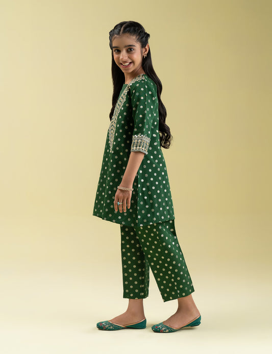 2 PIECE ETHNIC EMBROIDERED SUIT