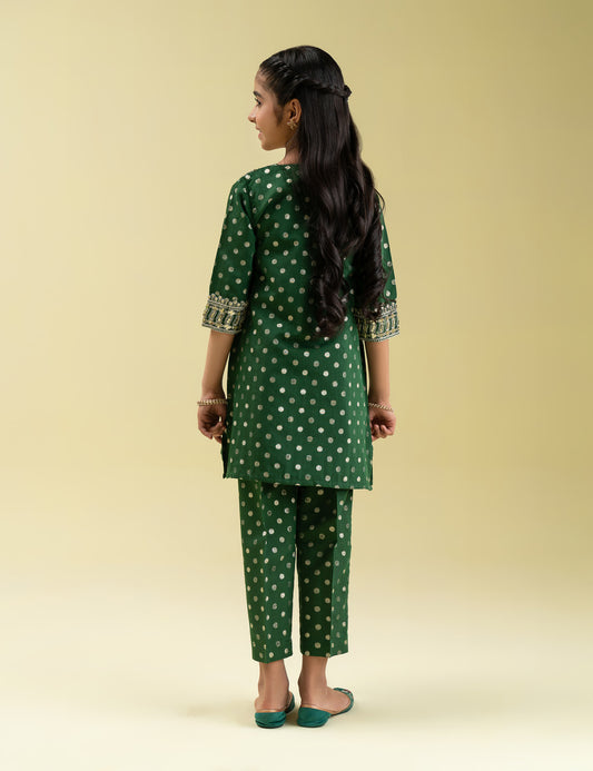 2 PIECE ETHNIC EMBROIDERED SUIT