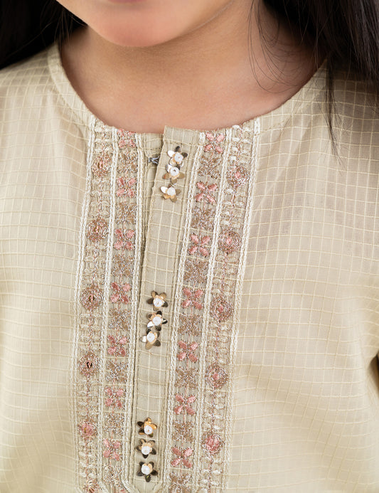 2 PIECE ETHNIC EMBROIDERED SUIT