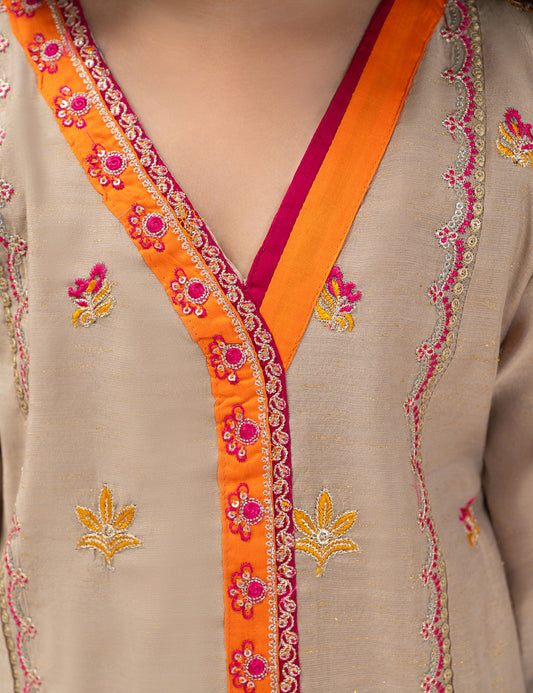 2 PIECE ETHNIC EMBROIDERED SUIT