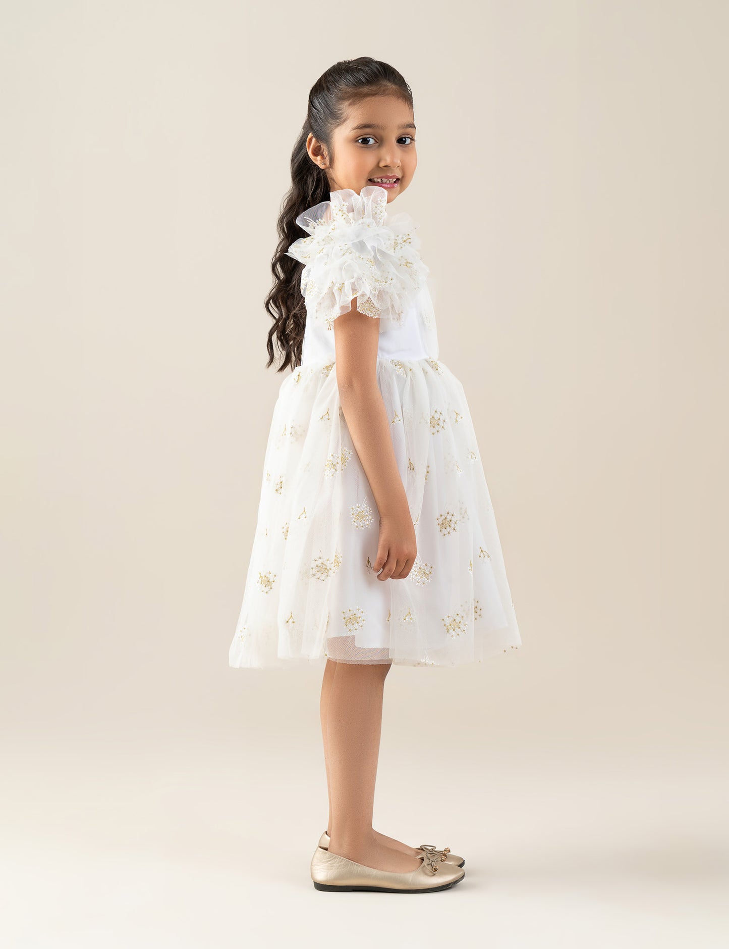 EMBROIDERED TULLE DRESS