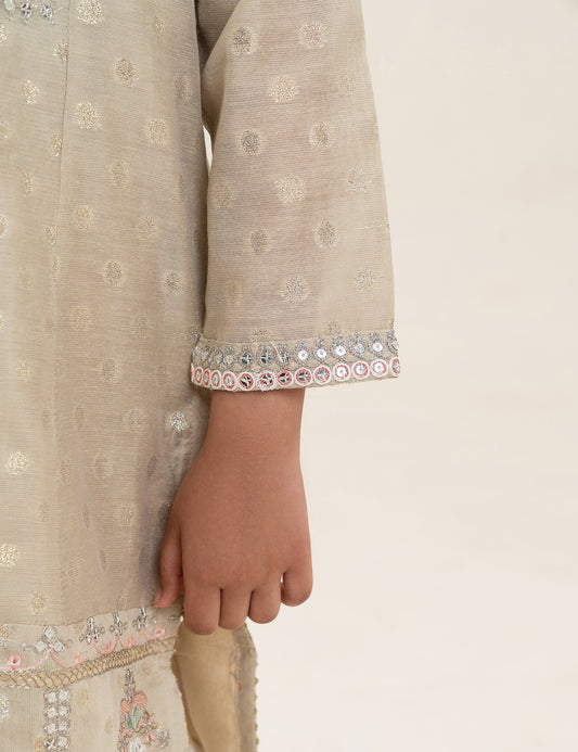 2 PIECE ETHNIC EMBROIDERED SUIT