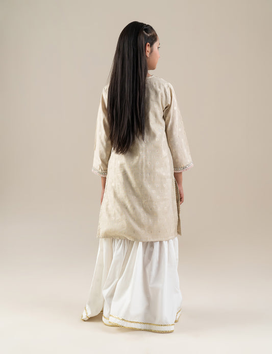 2 PIECE ETHNIC EMBROIDERED SUIT