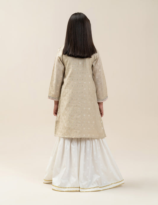 2 PIECE ETHNIC EMBROIDERED SUIT