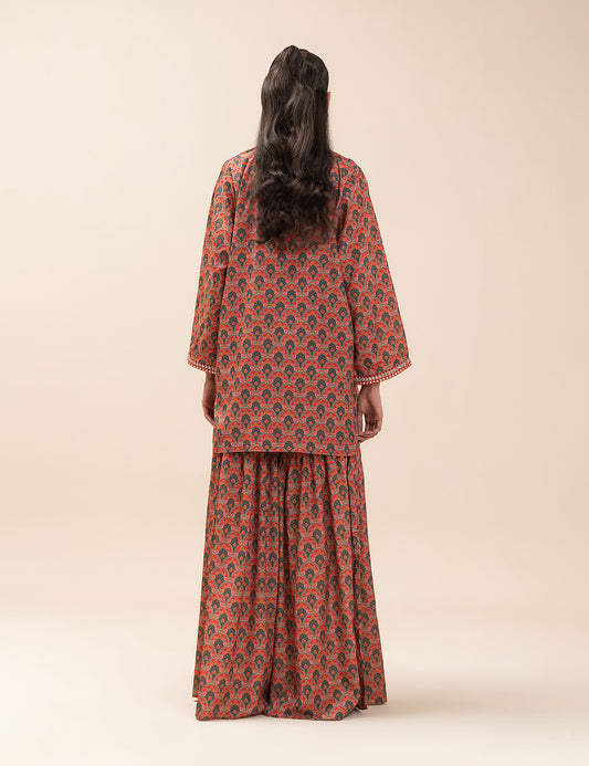 2 PIECE ETHNIC EMBROIDERED SUIT