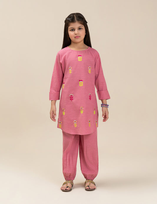 2 PIECE VIBRANT EMBROIDERED SUIT