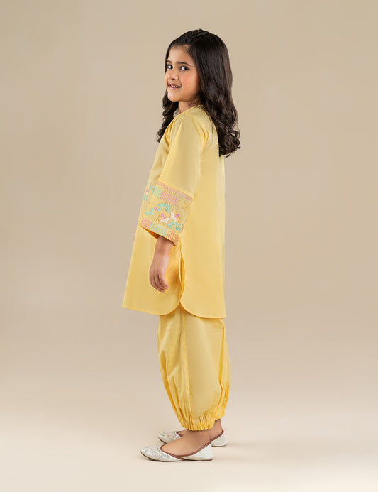 2 PIECE ETHNIC EMBROIDERED SUIT