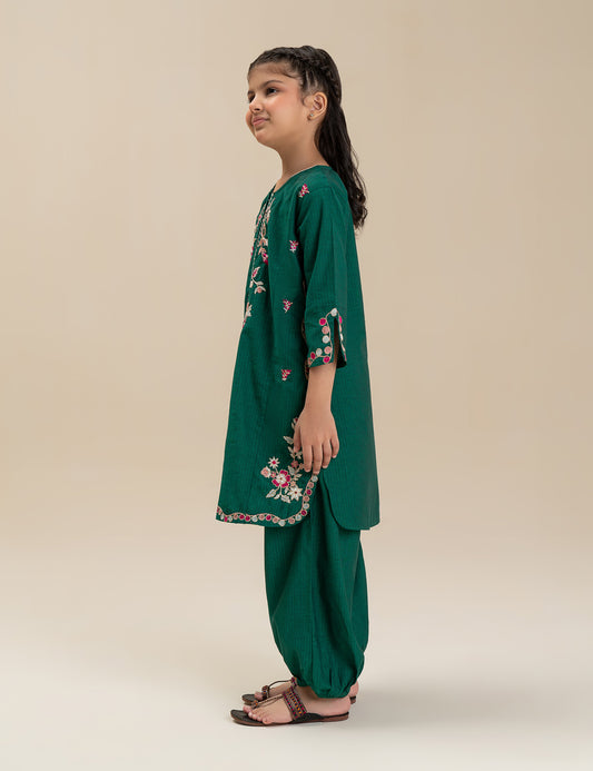 2 PIECE VIBRANT EMBROIDERED SUIT