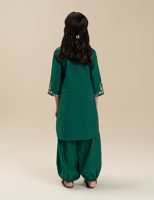 2 PIECE VIBRANT EMBROIDERED SUIT