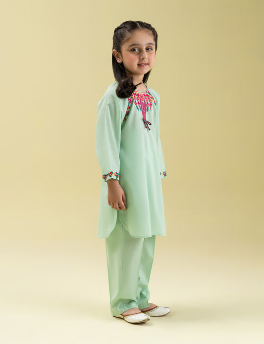 2 PIECE VIBRANT EMBROIDERED SUIT
