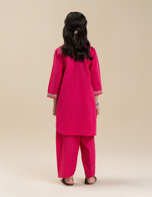 2 PIECE STYLISH EMBROIDERED SUIT