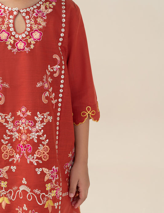 2 PIECE ETHNIC EMBROIDERED SUIT