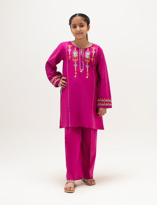 2 PIECE ETHNIC EMBROIDERED SUIT