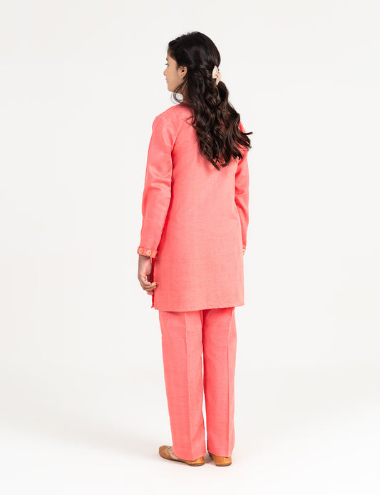 2 PIECE MEBROIDERED SUIT