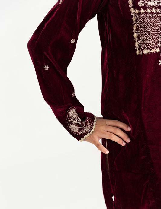 2 PIECE VELVET EMBROIDERED SUIT