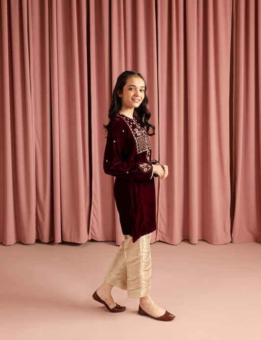 2 PIECE VELVET EMBROIDERED SUIT