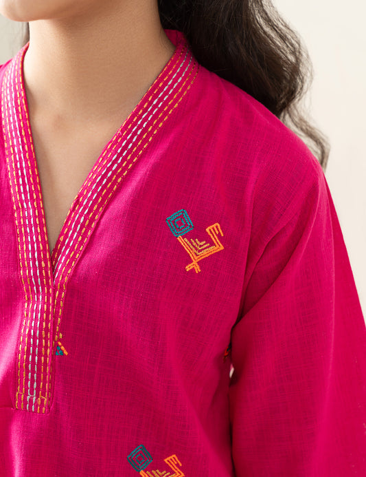 2 PIECE VIBRANT EMBROIDERED SUIT