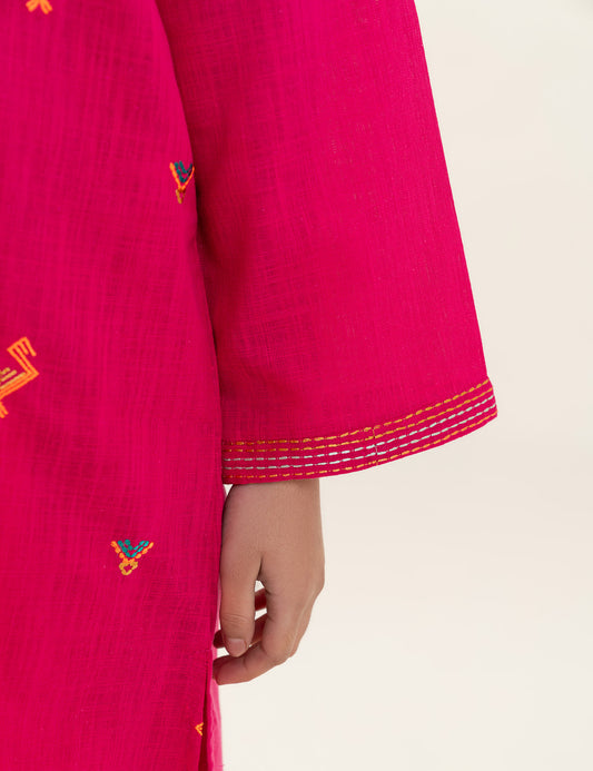 2 PIECE VIBRANT EMBROIDERED SUIT