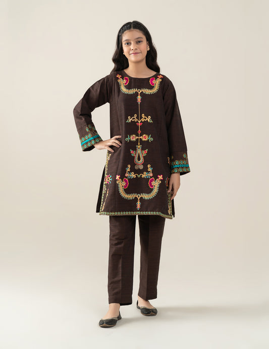 2 PIECE ETHNIC EMBROIDERED SUIT