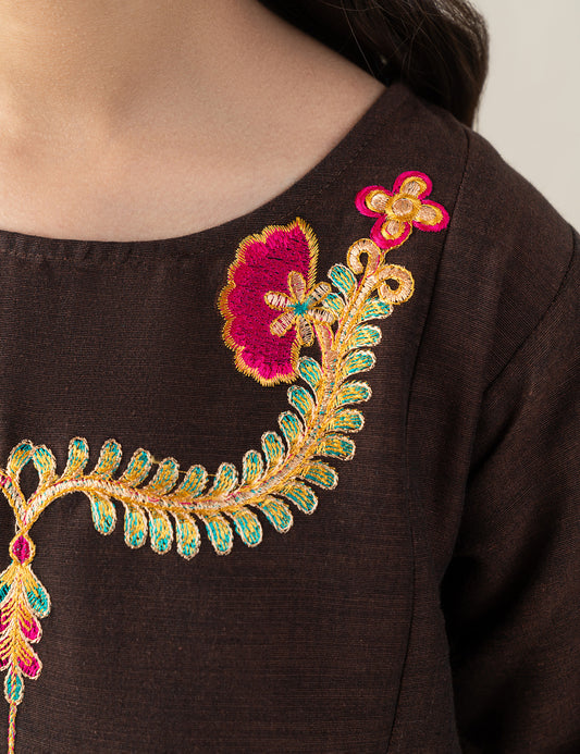 2 PIECE ETHNIC EMBROIDERED SUIT