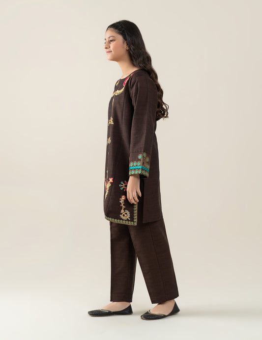 2 PIECE ETHNIC EMBROIDERED SUIT