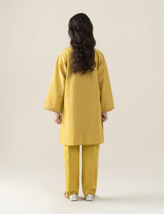 2 PIECE ALLOVER EMBROIDERED SUIT