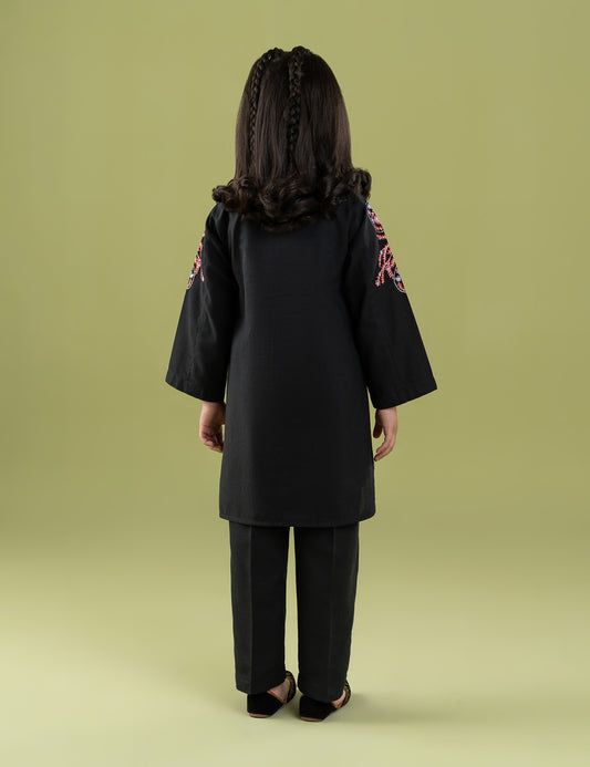 2 PIECE VIBRANT EMBROIDERED SUIT