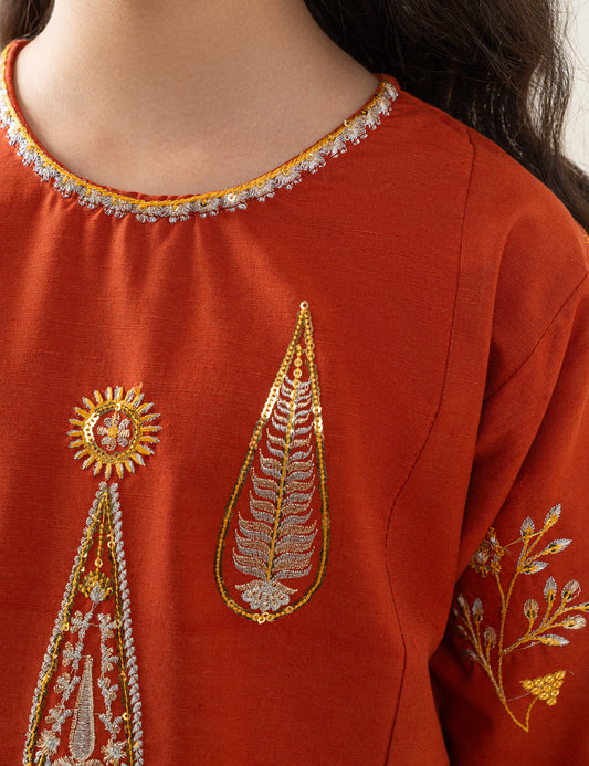 2 PIECE ETHNIC EMBROIDERED SUIT