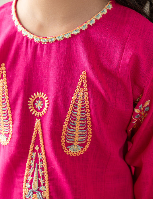 2 PIECE CONTRAST EMBROIDERED SUIT