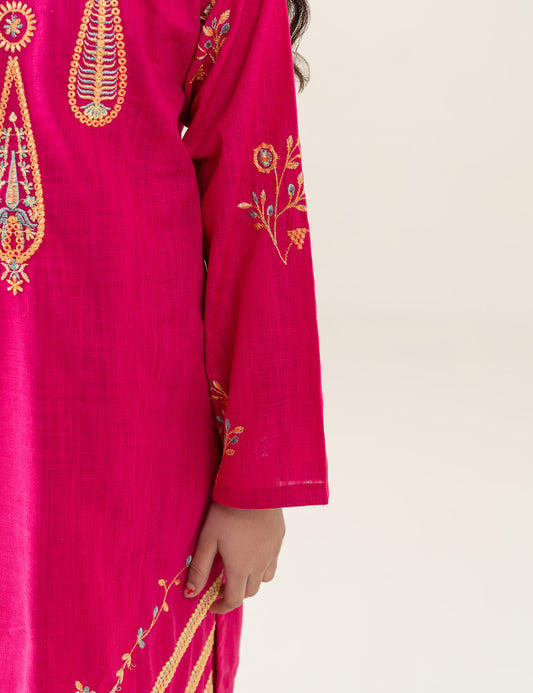 2 PIECE CONTRAST EMBROIDERED SUIT
