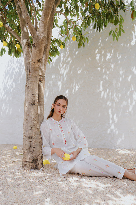2 PIECE EMBROIDERED DORIA DOBBY SUIT (PRET)