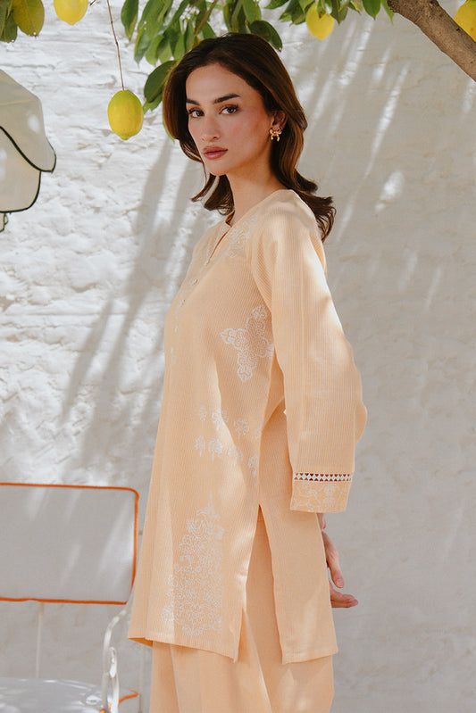 2 PIECE PRINTED STRIPE DOBBY SUIT (PRET)