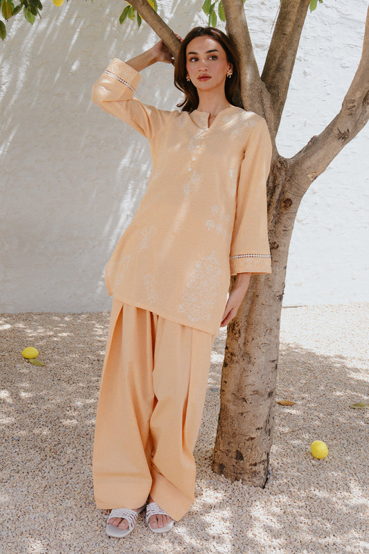 2 PIECE PRINTED STRIPE DOBBY SUIT (PRET)