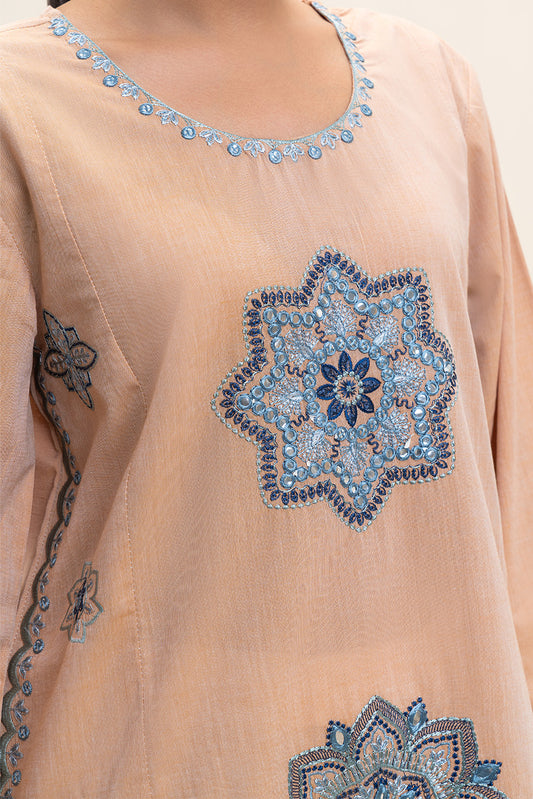 EMBROIDERED CHAMBRAY SHIRT (PRET)