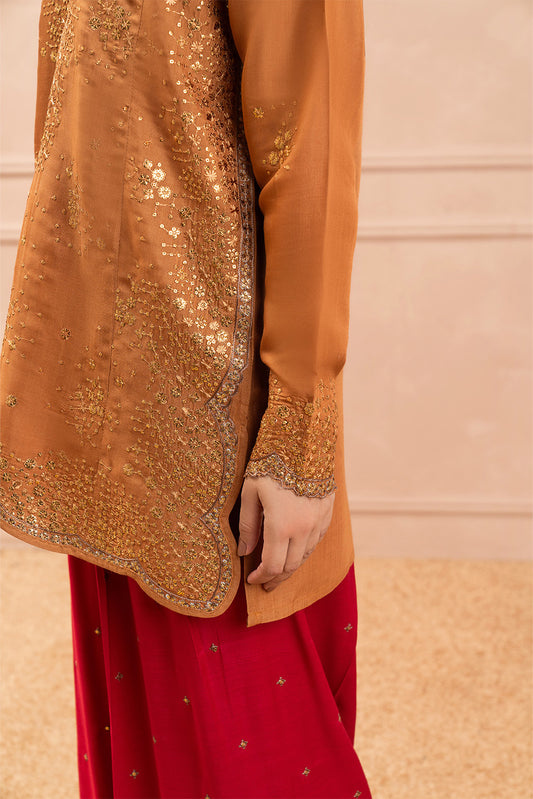 2 PIECE EMBROIDERED RAW SILK SUIT (LUXURY PRET)