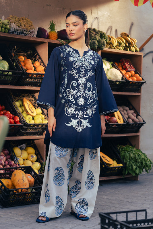 2 PIECE EMBROIDERED TWO WAY SLUB SUIT (PRET)