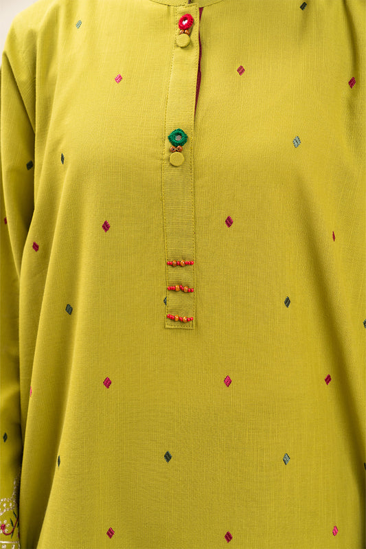 2 PIECE EMBROIDERED SLUB SUIT (PRET)