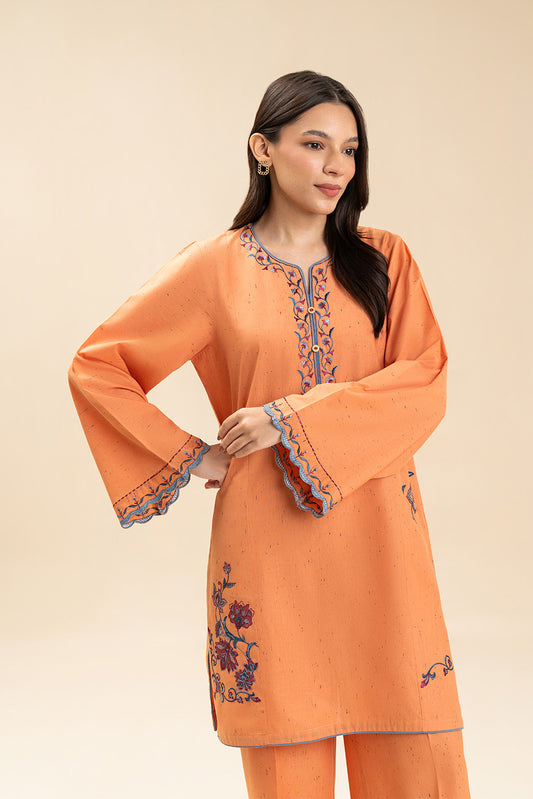2 PIECE EMBROIDERED MULTI NEPS SUIT (PRET)