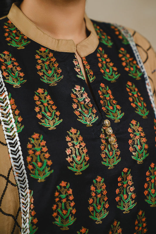 2 PIECE EMBROIDERED RAW SILK SUIT (LUXURY-PRET)