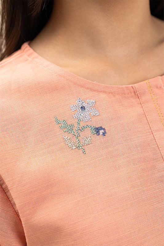 2 PIECE EMBROIDERED SLUB KHADDAR SUIT (PRET)