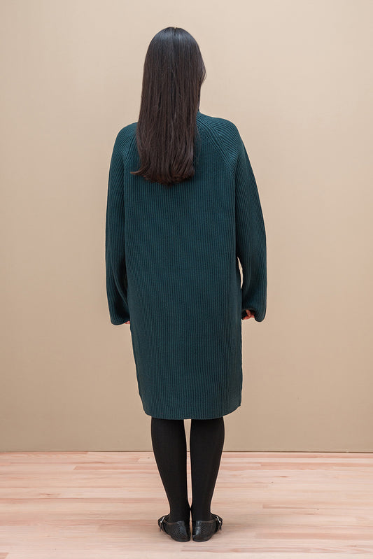 BALLOON SLEEVES DRESS