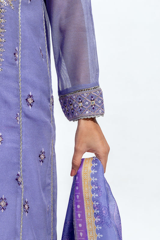 2 PIECE EMBROIDERED COTTON NET SUIT (LUXURY PRET)