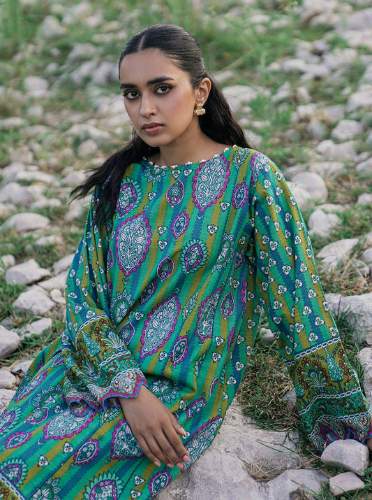 2 PIECE - PRINTED KHADDAR SUIT - PEACOCK CAINATION MORBAGH WN_22   