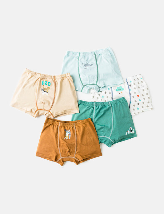 MULTI DESIGN BRIEFS (6295506780312)