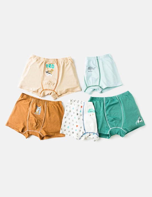 MULTI DESIGN BRIEFS (6295506780312)