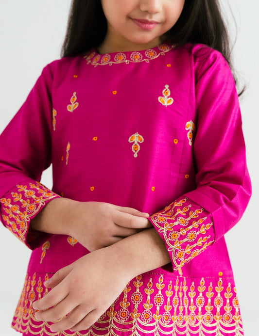 2 PIECE ETHNIC Embroidered SUIT