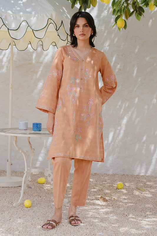 2 PIECE EMBROIDERED DORIA SUIT (PRET)